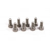 Eretic Snow Scooter Ski Screws